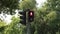 Traffic Signal Light