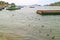 Traffic and Transportation on Lake Titicaca with Flock of Andean Coot Birds, Bolivia