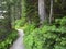 Trail Along Cameron Lake Waterton National Park, Canada