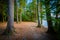 Trail along Winnisquam Lake, at Ahern State Park, in Laconia, Ne