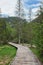 trail around Lago di Dobbiaco