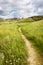 Trail in Badlands in Alberta, Canada