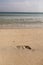 Trail of a bare foot of a man on the sand. Print on a wet surface on the beach background