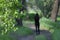 Trail, blurred silhouette goes away, green leaves