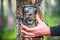 Trail camera adjusting in forest
