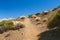 Trail Through The Canadas In Tenerife, Spain