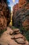 Trail Canyon View, Zion National Park, Utah