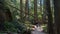 Trail of Cedars at Glacier National Park Montana