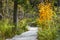 Trail at Cherney Maribel Caves County Park