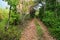 Trail in Chiapas, Mexico