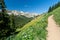 Trail Climbs Through Mountain Wildflowers
