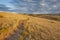 Trail through Colorado prairie