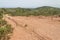 Trail in Cork tree forest Santiago do Cacem