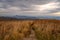 Trail Cuts Through Brown Grasses in Autumn