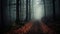 Trail Through A Dark, Mysterious Forest In Autumn Fog