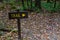 Trail Directional Sign in Woods