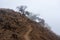 A Trail Disappearing into the Fog on the Mountaintop