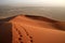 A Trail in the Dune