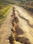 Trail Erosion, California