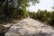 Trail, footpath, country road, pathway, alley, lane in Hong Kong forest as background