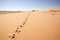 a trail of footprints leading off into the desert