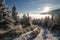 Trail in forest 2, winter time, Giant Mountains, Czech Republic