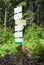 Trail forest direction sign crossroad post