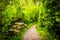 Trail through the forest at Wildwood Park, Harrisburg, Pennsylvania.