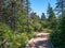 Trail in the forests of Bonaventure island bird sanctuary - a Quebec national park