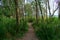 Trail in front of Lake Michigan at the Montrose Point Bird Sanctuary in Uptown Chicago