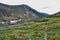 Trail in glade of multi-colored mountain flowers yellow pink on the shore of a clean mountain lake in siberia