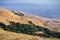 Trail through the golden hills of Mission Peak preserve