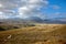 Trail through highland meadows in Tasmanian mountains