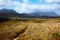 Trail through highland meadows in Tasmanian mountains