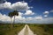 Trail Through Kissimmee Prairie Preserve