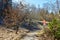 Trail leading through a forest with two red signs with forbidding motor vehicles and horses