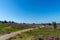 Trail leading through purple heath landscape under a blue sky