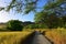 Trail leading to the summit of Diamond Head volcano