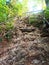 Trail leading on the top of Sokolica mountain,summer august 2022