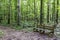 Trail leads through an Alabama park with a wood bench