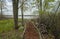 Trail leads to a pier on the lake