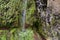 Trail at Levada Do Rei through an ancient laurel forest