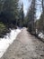 Trail by Little laramie river On snowy range road Medicine Bow National Forest Wyoming