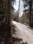 Trail by Little Laramie River On Snowy Range Road Wyoming