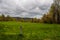 Trail marker in a meadow along the Appalachian Trail