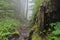 trail marker pointing in the direction of hidden waterfall, with mist visible