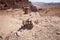 Trail marking on desert rock.