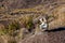 Trail marks in mountain landscape in Brazil highlands