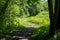 Trail through Minneopa State Park in Mankato, Minnesota on a late spring day. Grass covered trail