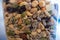 Trail mix in a container at home for hikes